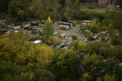 В Новосибирске создадут уникальный для России ландшафтный парк