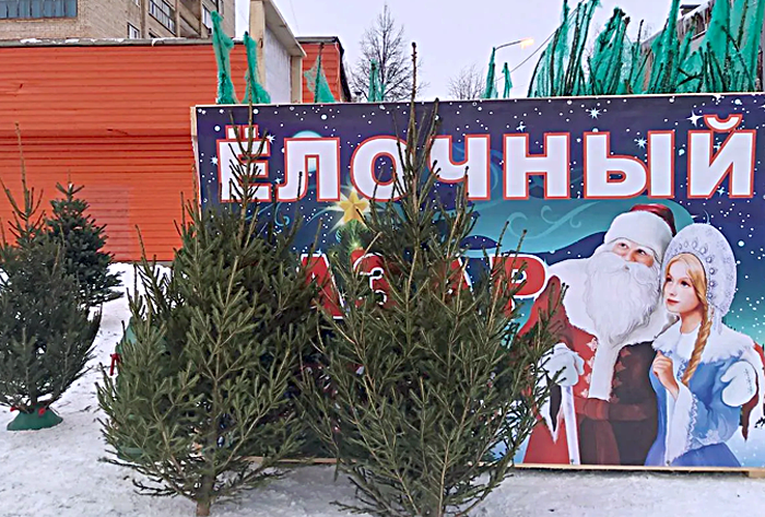 Адреса елочных базаров назвали в Новосибирске на правом и левом берегу