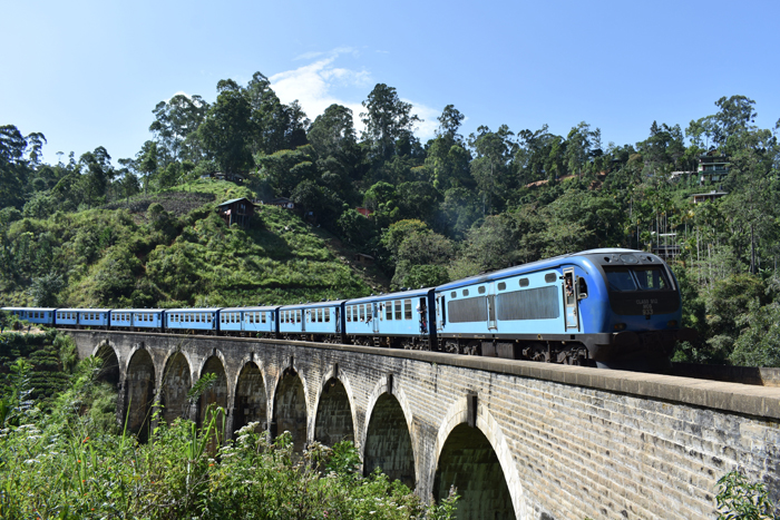 Туристка из России выпала из открытого поезда на Шри-Ланке во время фотосессии
