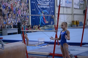 Новосибирская область подала заявку на проведение Чемпионата России по спортивной гимнастике летом 2020 года