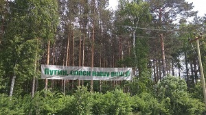Екатеринбуржцы просят президента защитить парк на Краснолесье