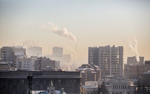 Новосибирские депутаты продолжают бороться с пылью 