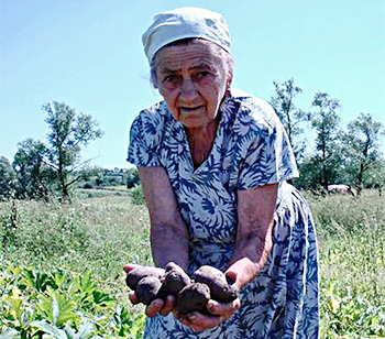Пенсионерам в Новосибирской области пересчитали пенсии