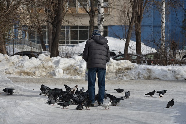 Пенсионерам без QR-кода приостановили выплату льгот на проезд в Хабаровском крае