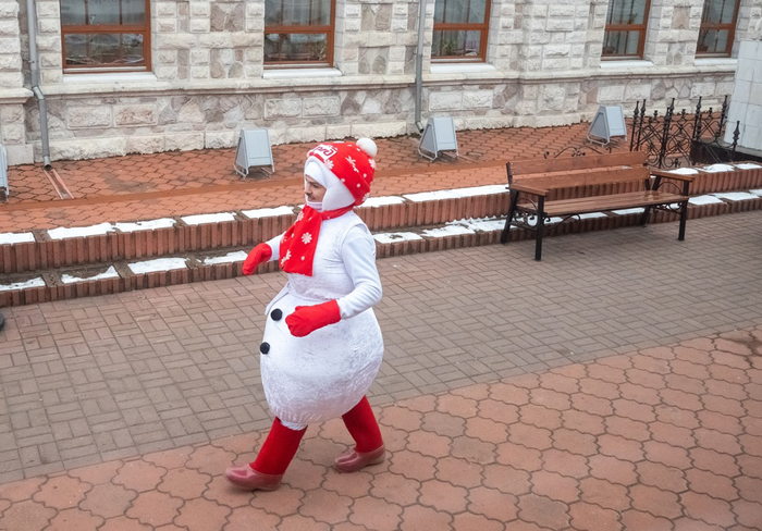 В Новосибирск из Великого Устюга приедет поезд Деда Мороза