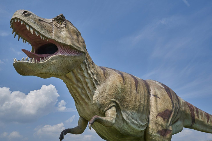 Скелет беременного тираннозавра покажут в музее Новой Зеландии