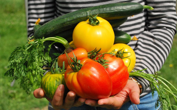 Удобрение "Green Garden": подарите своей семье отличный урожай!