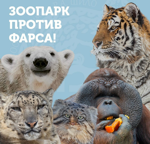 "Зоопарк против фарса". В Новосибирске остановили голосование за выбор талисмана Новогодней столицы