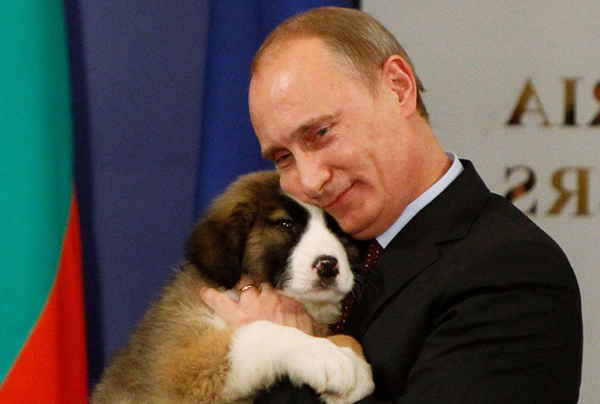 Собаки Владимира Путина: от лабрадора до шарпланинской овчарки