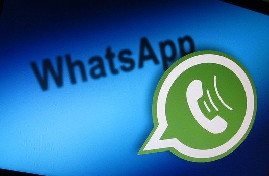 Новосибирцы готовы отказаться от WhatsApp на работе