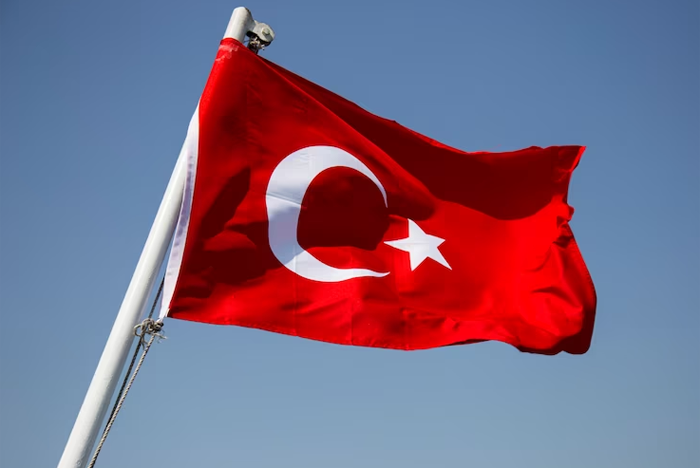 Депутат Госдумы призвал россиян воздержаться от поездок в Турцию