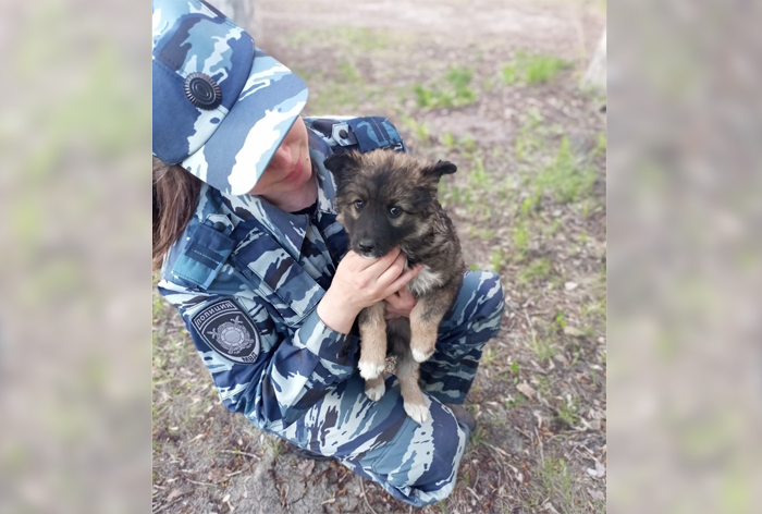 Полицейские в Новосибирске ищут хозяина для щенка по имени Муха