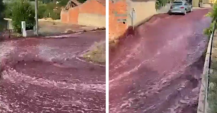 Улицы в Португалии превратились в винные реки – очевидцы опубликовали видео