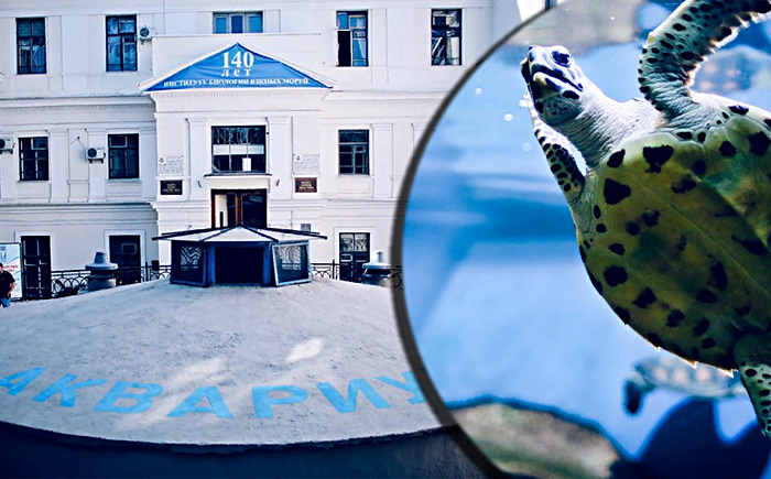Более 500 морских животных погибли в морском аквариуме-музее Севастополя