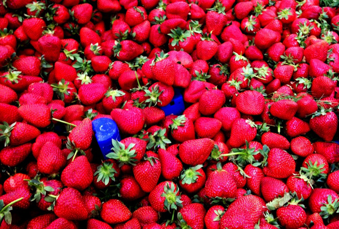 Как правильно выбрать вкусную клубнику: инструкция Роспотребнадзора